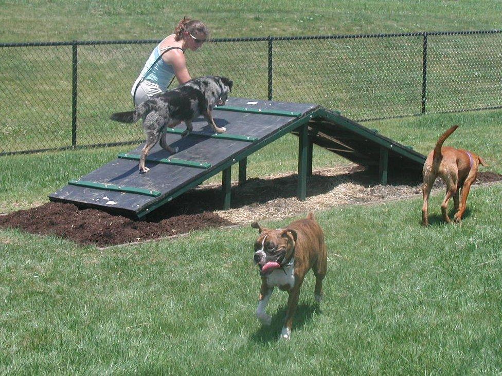 Pet Friendly Dog Park at Robert E. Lambert Park