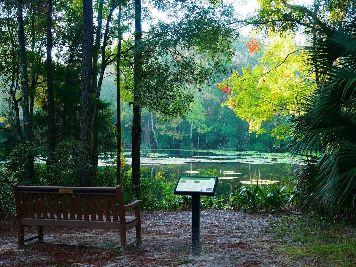 Jacksonville Arboretum & Gardens