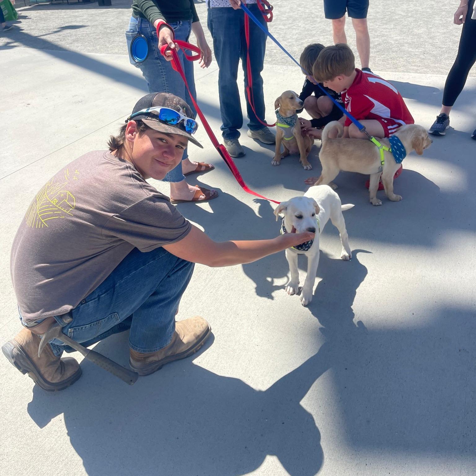 Pet Friendly Carytown Farmers Market