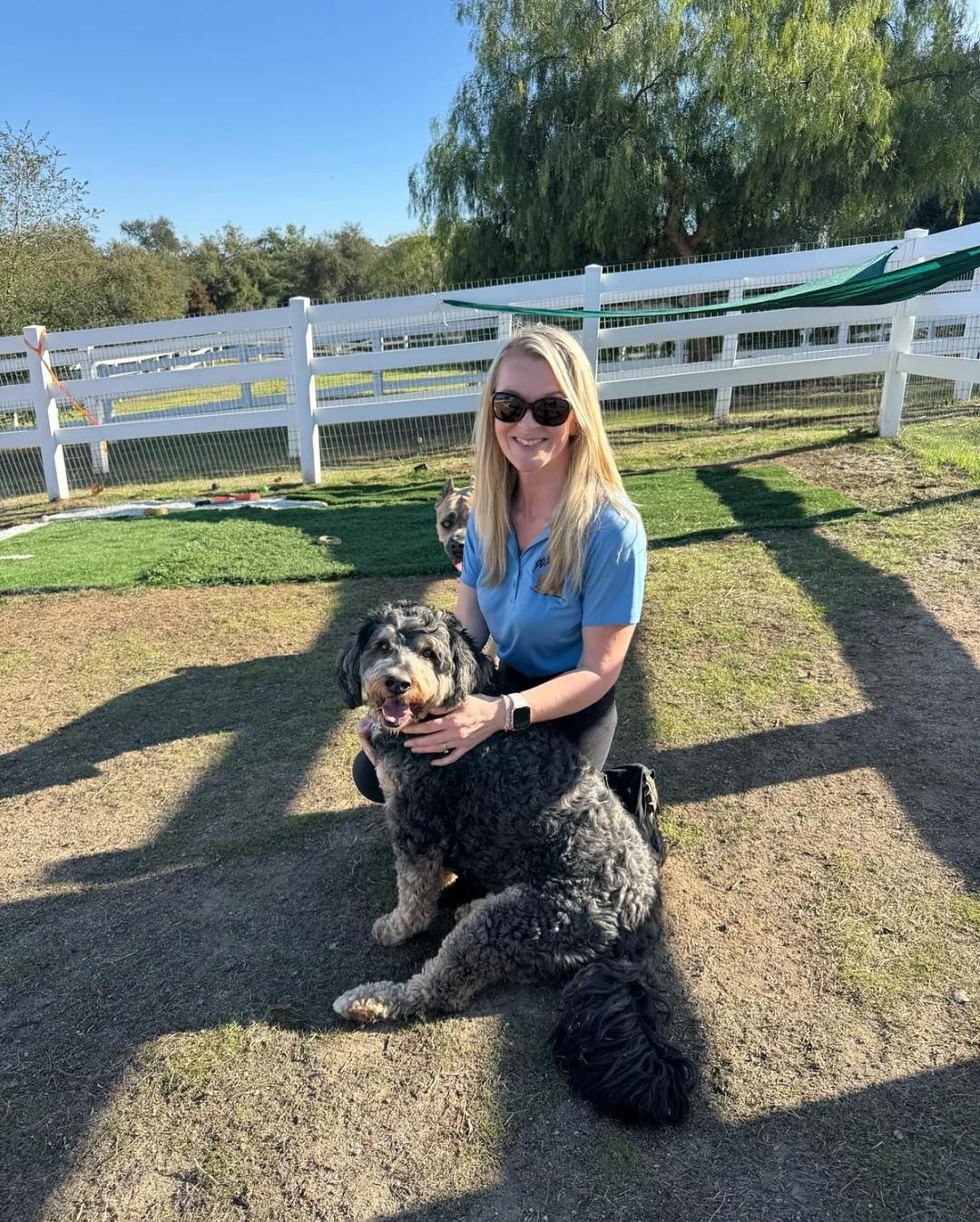 Pet Friendly Pooch Kingdom