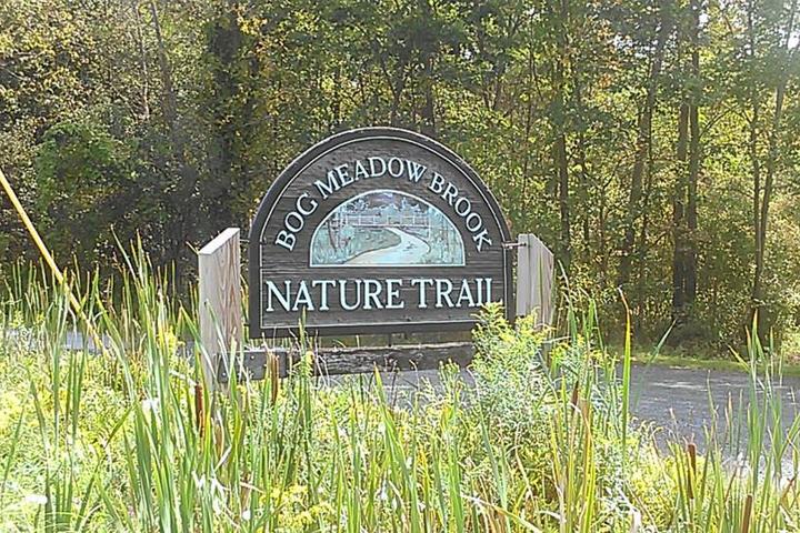Pet Friendly Bog Meadow Brook Nature Trail