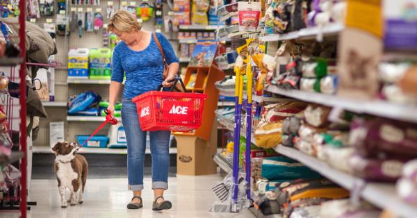 ace hardware dog beds
