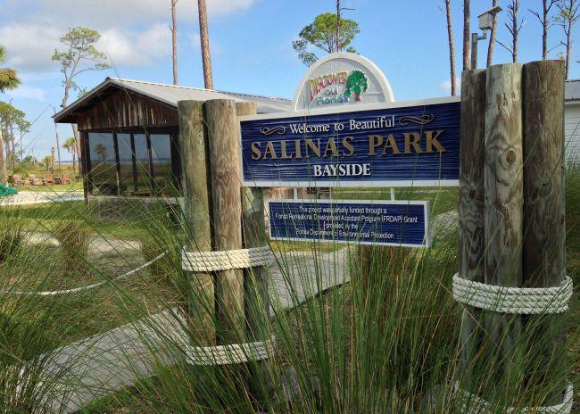 cape san blas off leash dog beach