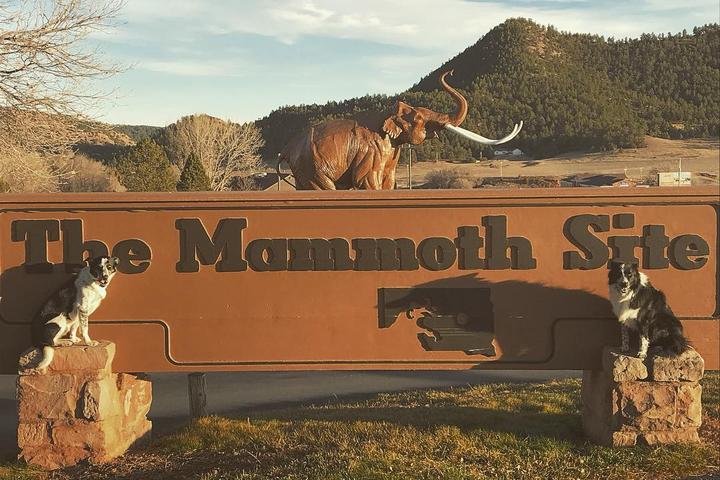 Pet Friendly Mammoth Site