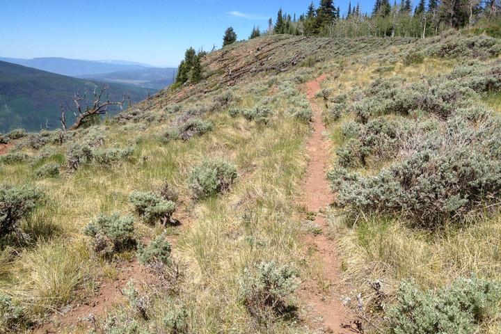 Pet Friendly Hardscrabble and Williams Lakes Trail