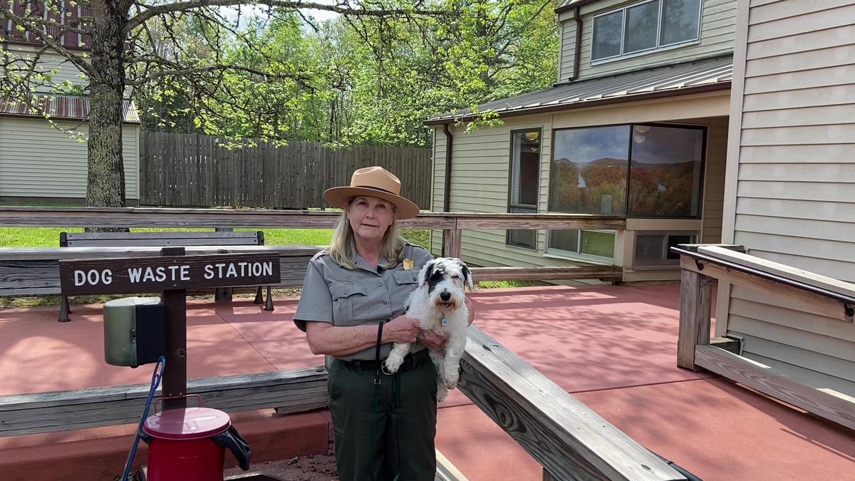 38309_49850841.jpg?size=slide&