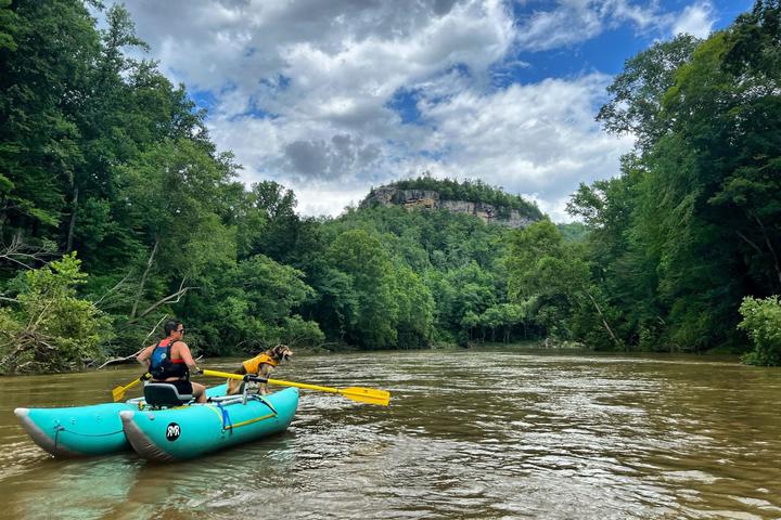 Pet Friendly Big South Fork National River and Recreation Area
