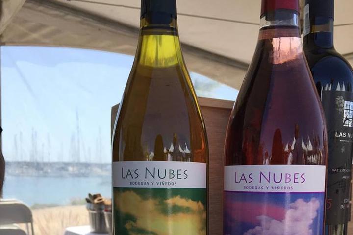 Pet Friendly Las Nubes Winery