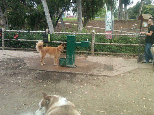 Nates Point Off Leash Dog Park