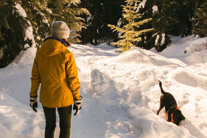 Pet Friendly Snow Shoeing Guided Trail/Forest Tour