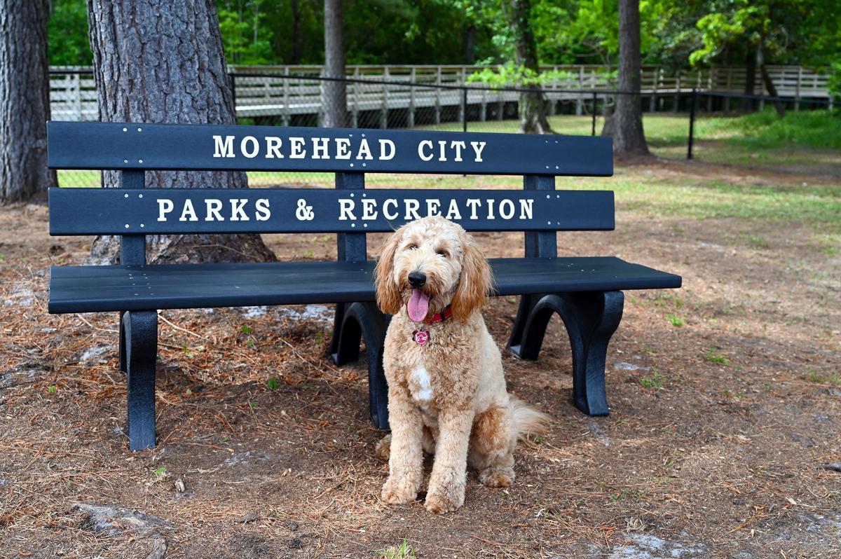 Morehead City Dog Park at Rotary Park