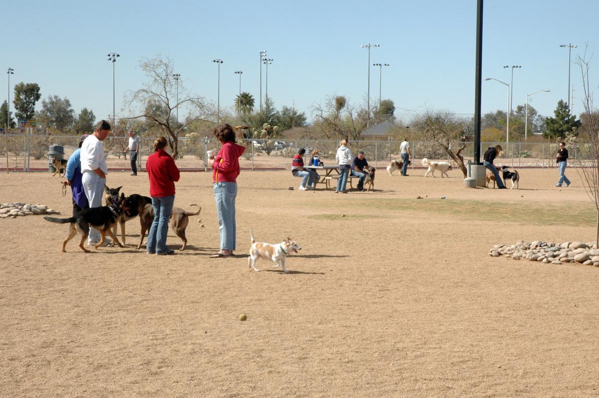 The Bark Park, Dogs of Tucson