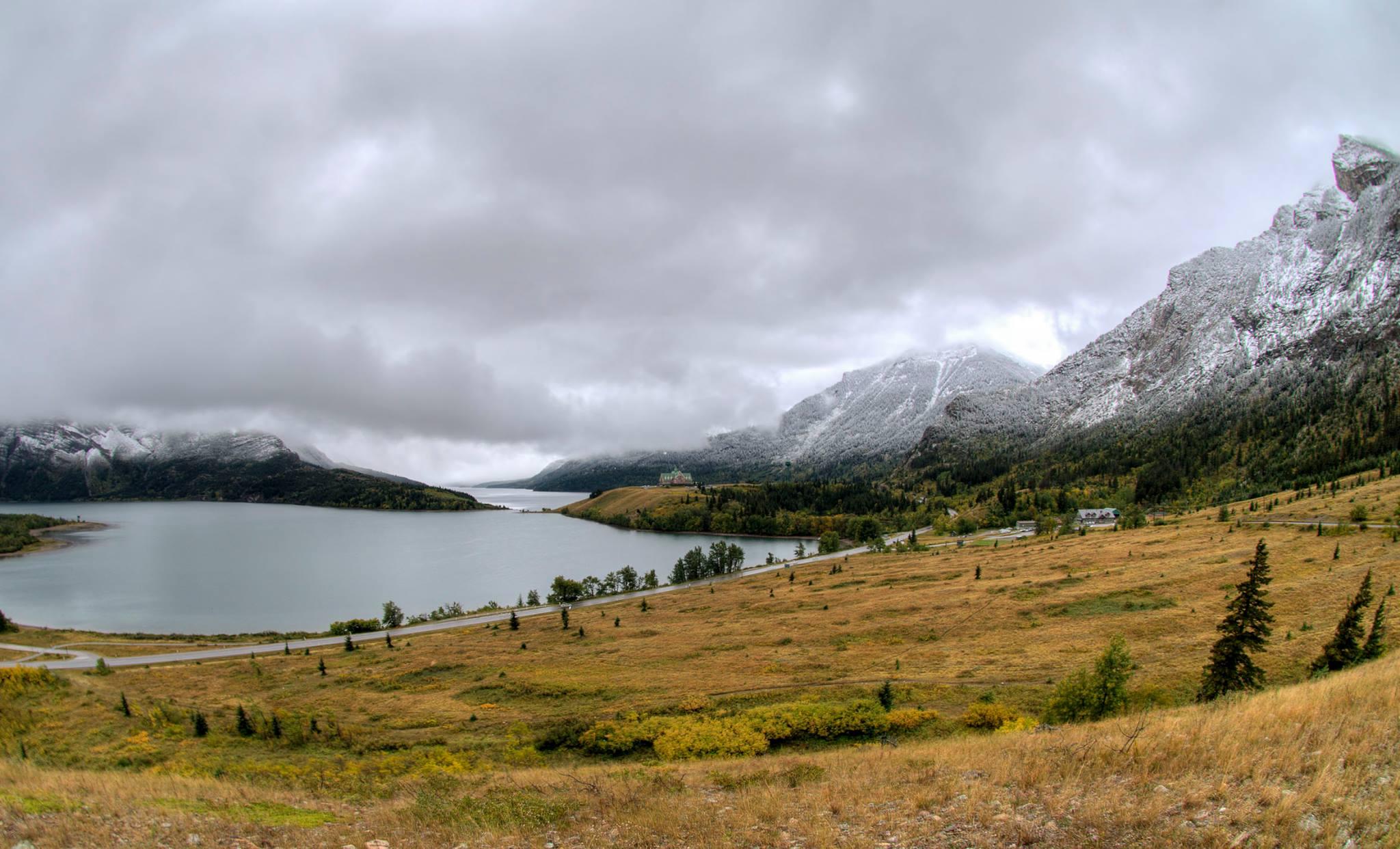 are dogs allowed in waterton national park