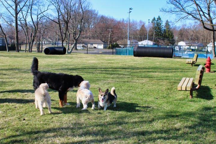 Pet Friendly West Haven Dog Park