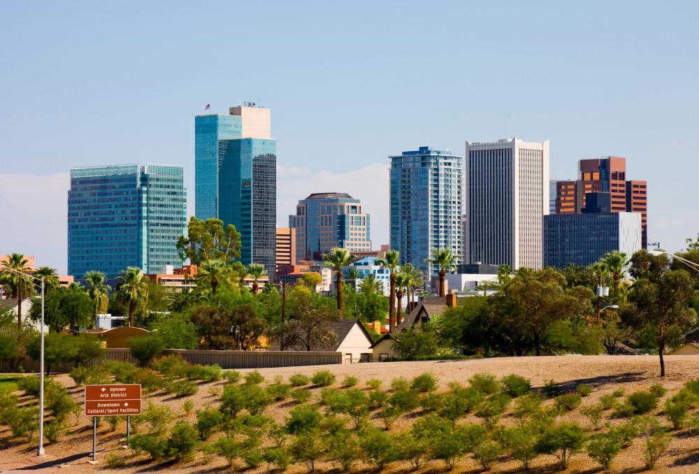 Pet Friendly Phoenix Scavenger Hunt: the Sun’s Core