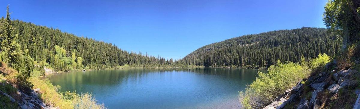 Dog Friendly Hiking Trails In Montana Bringfido