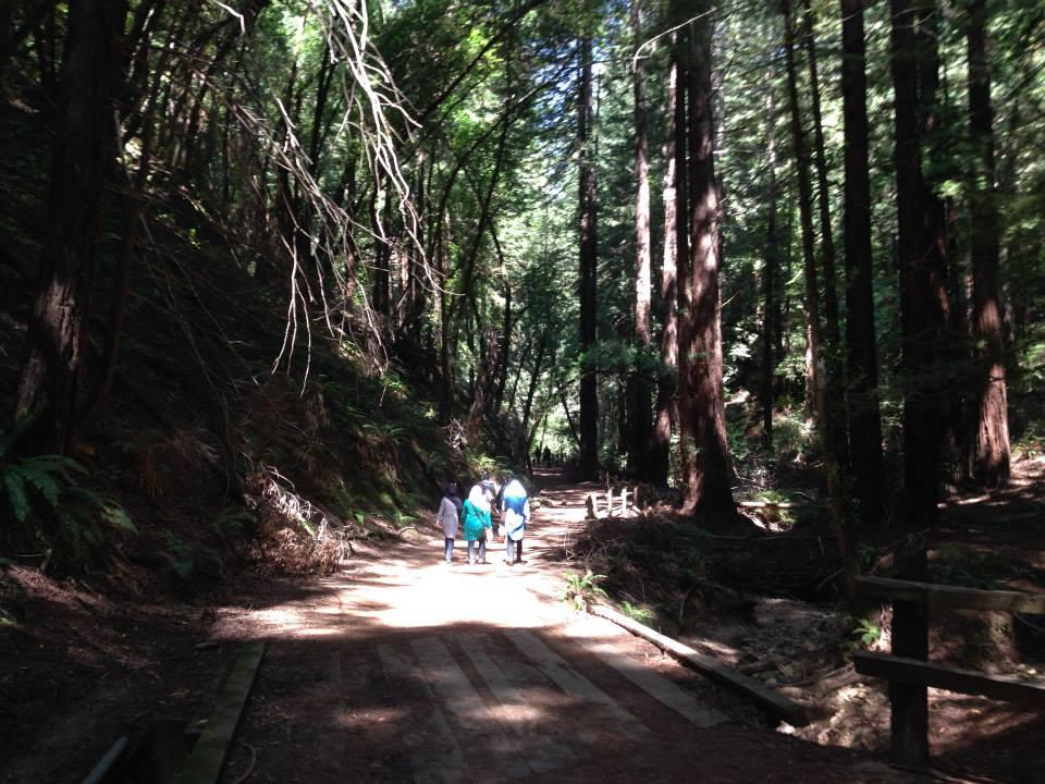 are dogs allowed in redwood regional park