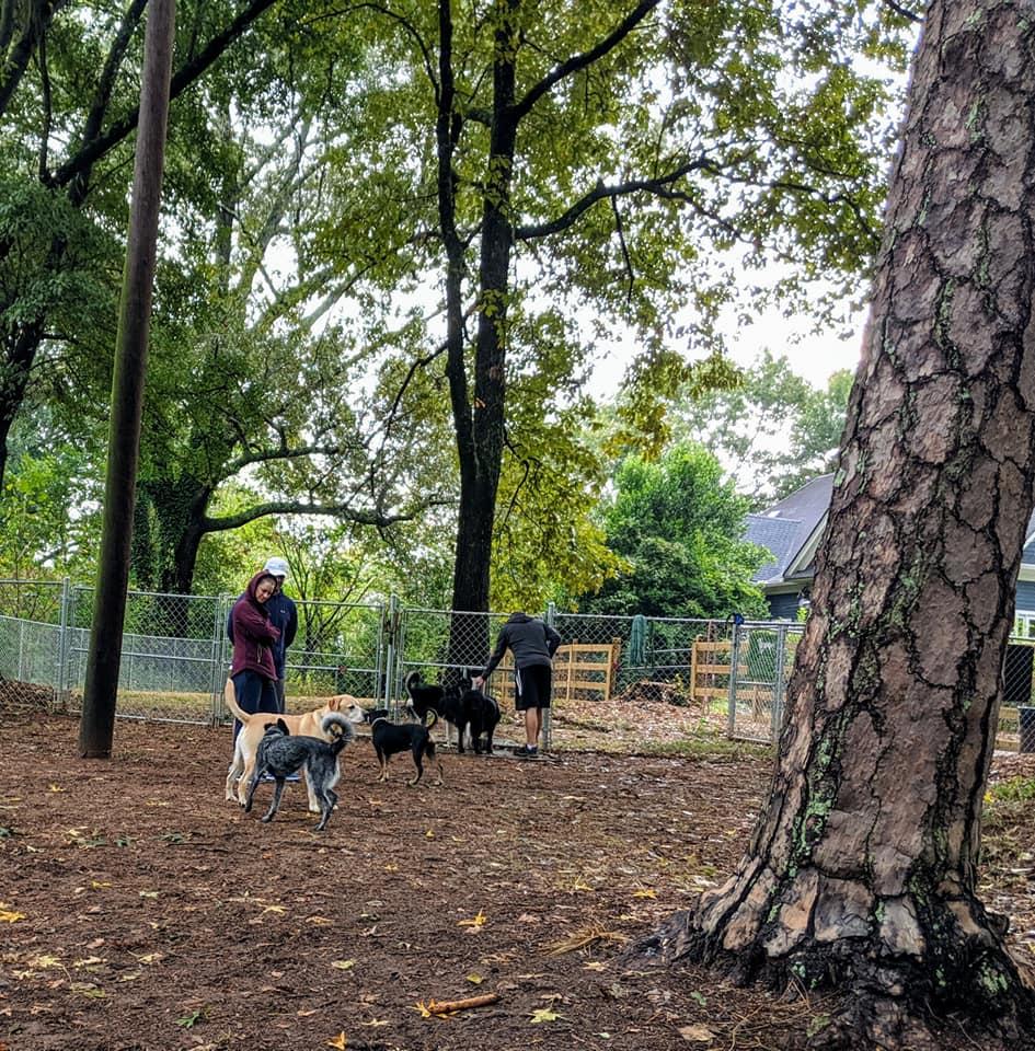 Kirkwood Dog Park