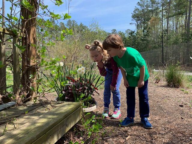 Williamsburg Botanical Garden