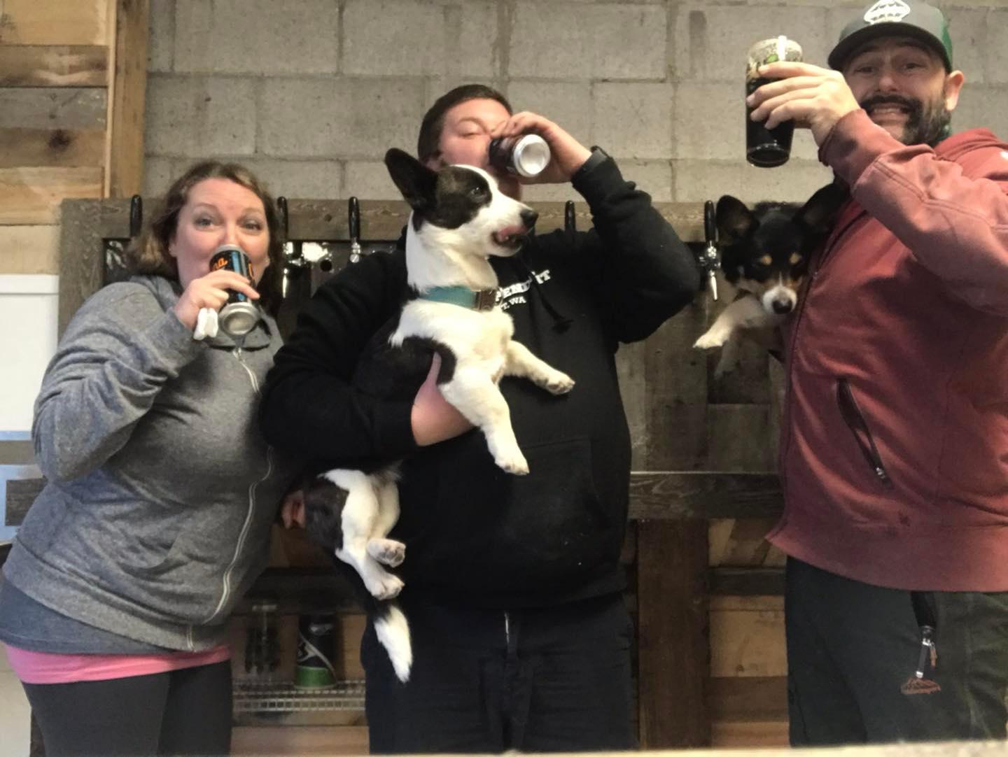 Pet Friendly Pints and Pups