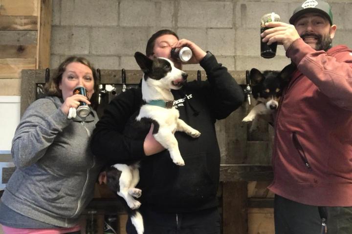 Pet Friendly Pints and Pups
