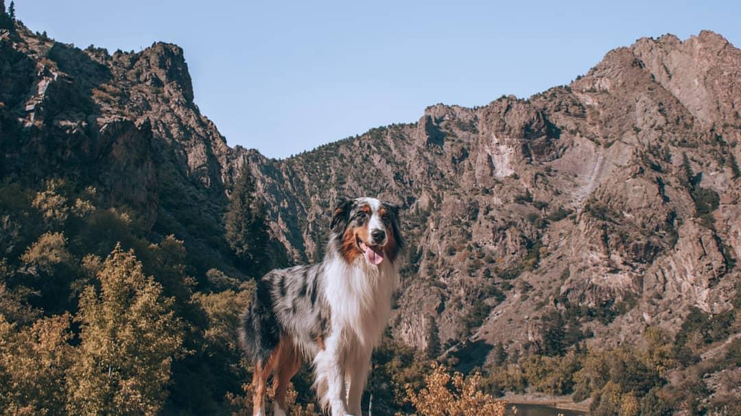 Gunnison National Conservation Area