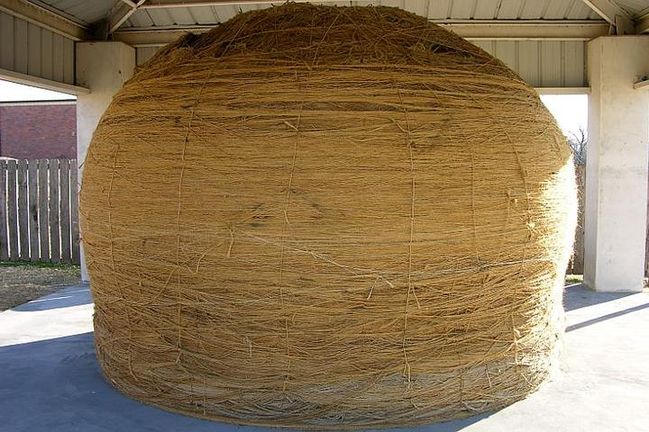 Pet Friendly World's Largest Ball of Twine