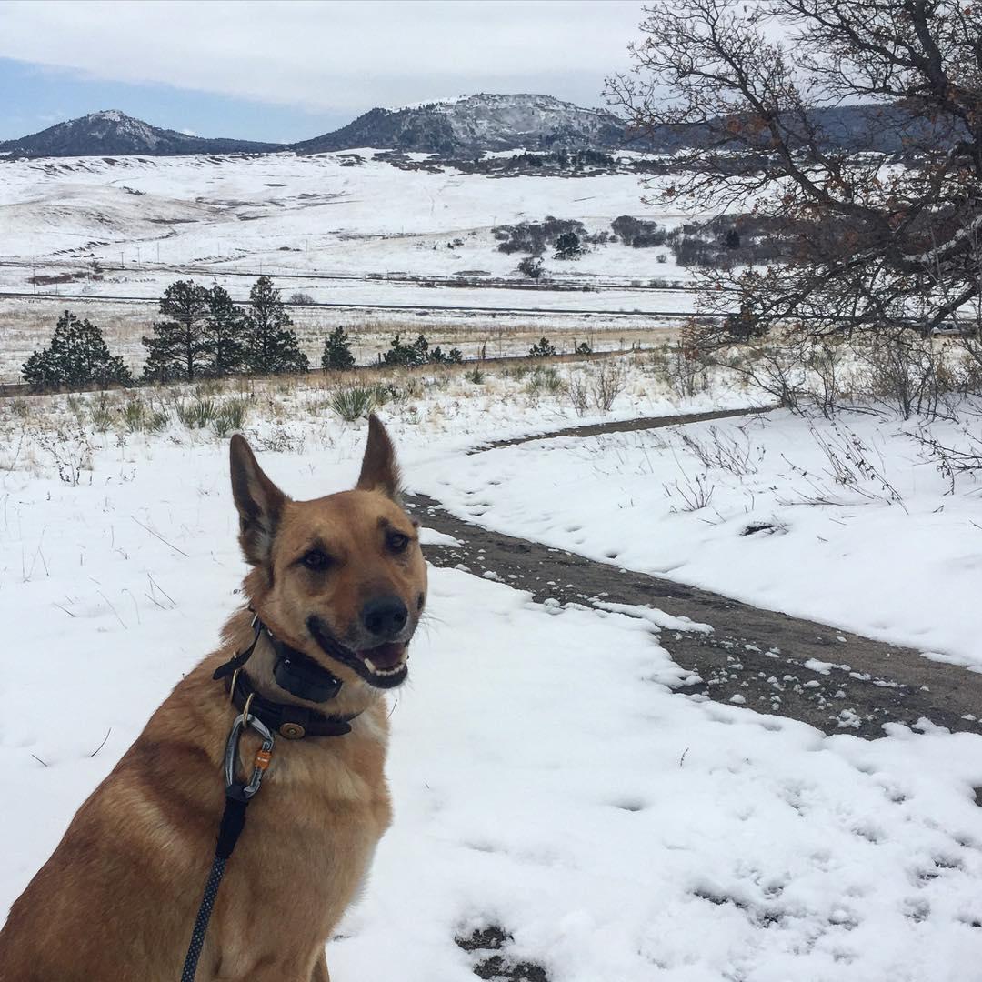 Pet Friendly Spruce Mountain Open Space and Trail