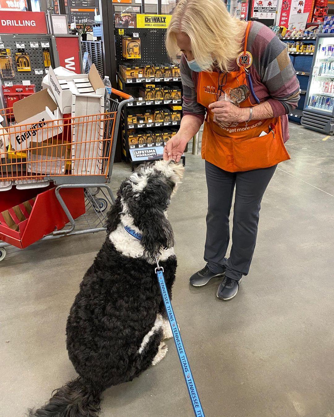 is home depot dog friendly