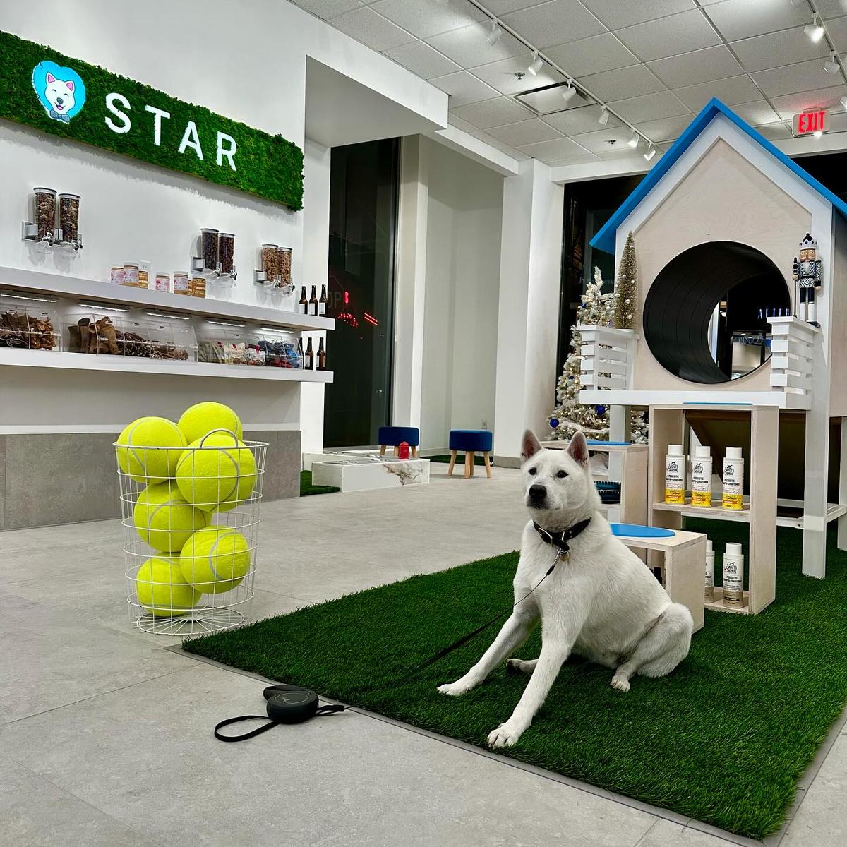 Puptqe Temecula Promenade puptqe-temecula-promenade