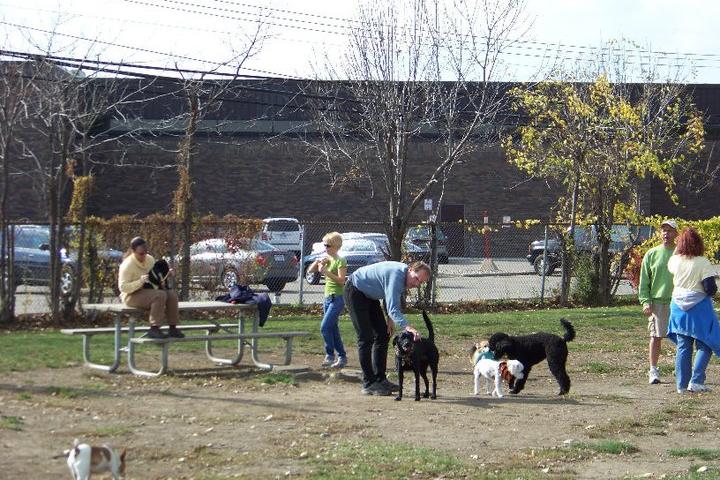 Pet Friendly Staler Maloof Dog Park