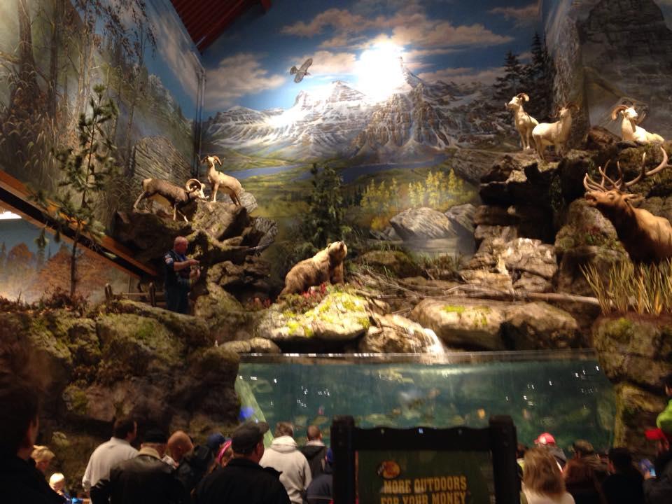 does bass pro shop allow dogs in the store