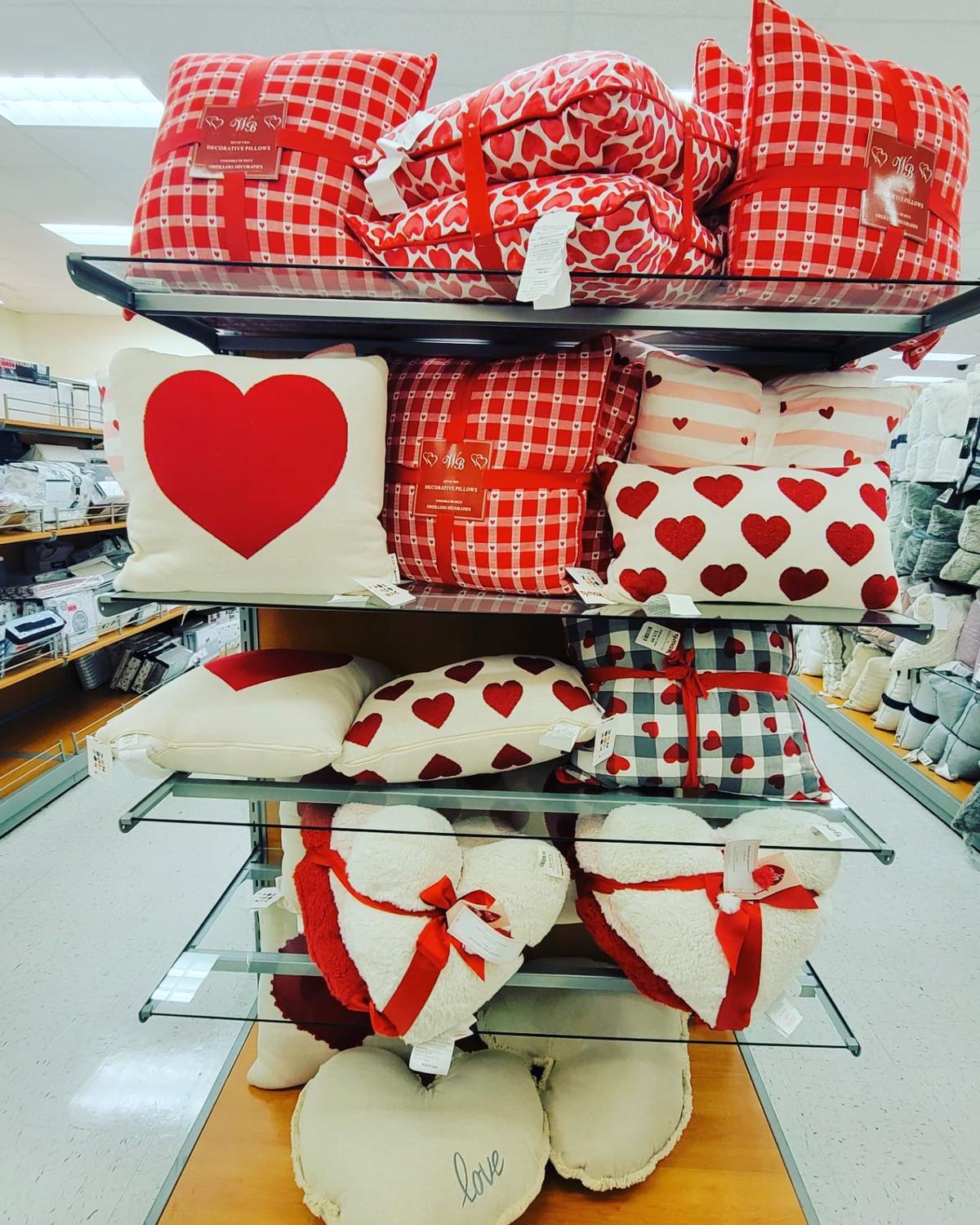 Tj maxx best sale euro pillows