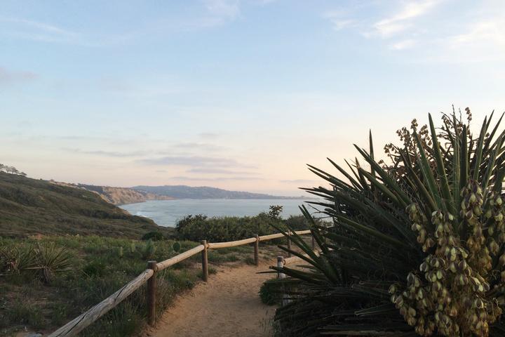 Pet Friendly Authentic SD: Hike, Drink & Dine