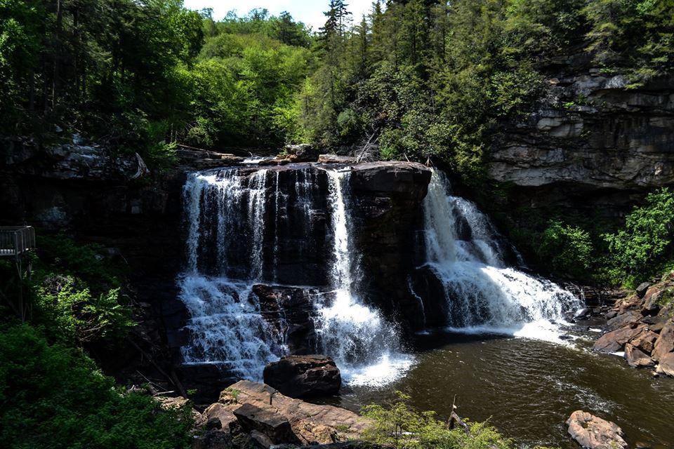 Monongahela National Forest