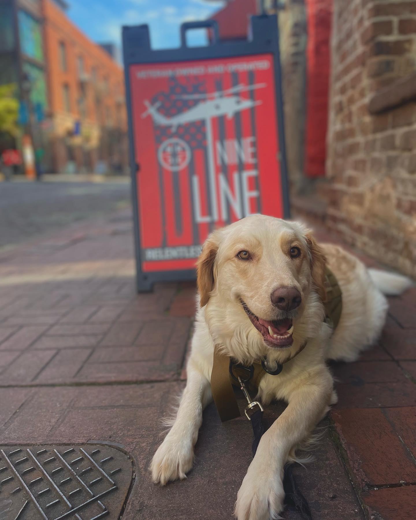 Pet Friendly Nine Line Apparel River Street