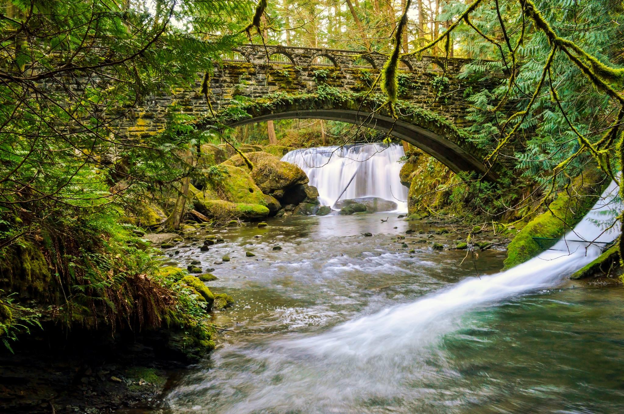 Pet Friendly Whatcom Falls Park