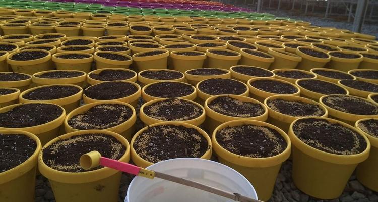 Earl May Nursery Garden Center