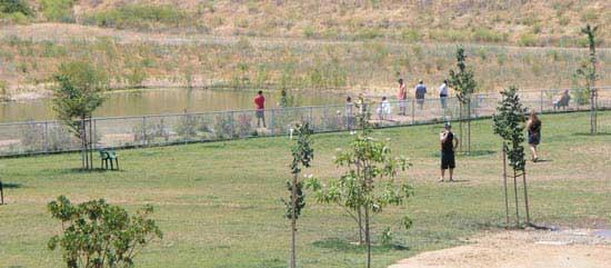 Granite Dog Park