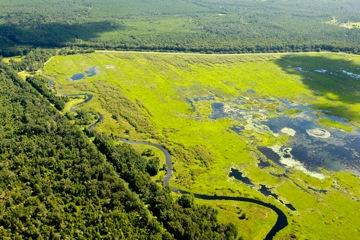 Ocklawaha Prairie Restoration Area