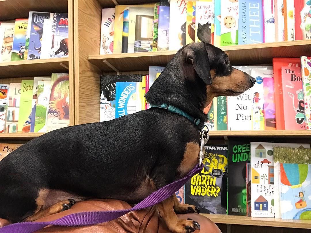 Pet Friendly Park Road Books