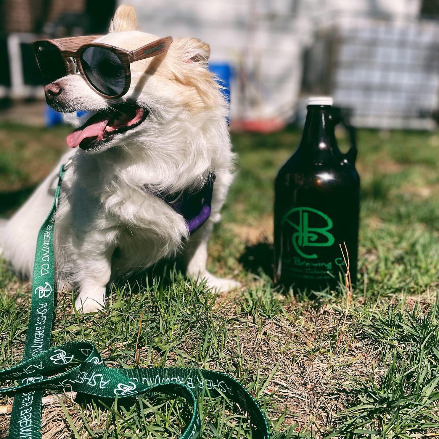 Pet Friendly Asher Brewing Co.