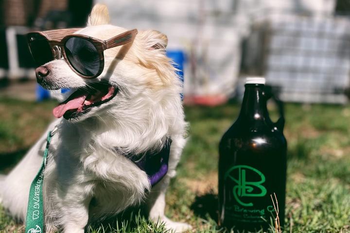 Pet Friendly Asher Brewing Co.