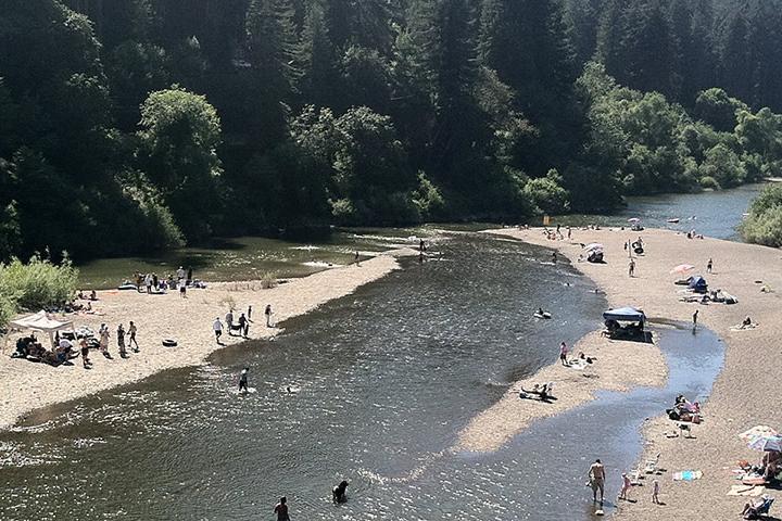 Monte Rio Ca >> Dog Friendly Activities In Monte Rio Ca Bring Fido Monte Rio Ca >> Dog Friendly Activities In Monte Rio Ca Bring Fido
