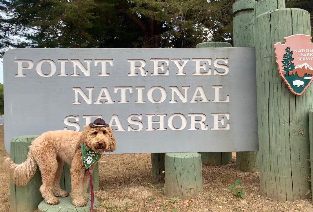 Pet Friendly Point Reyes National Seashore