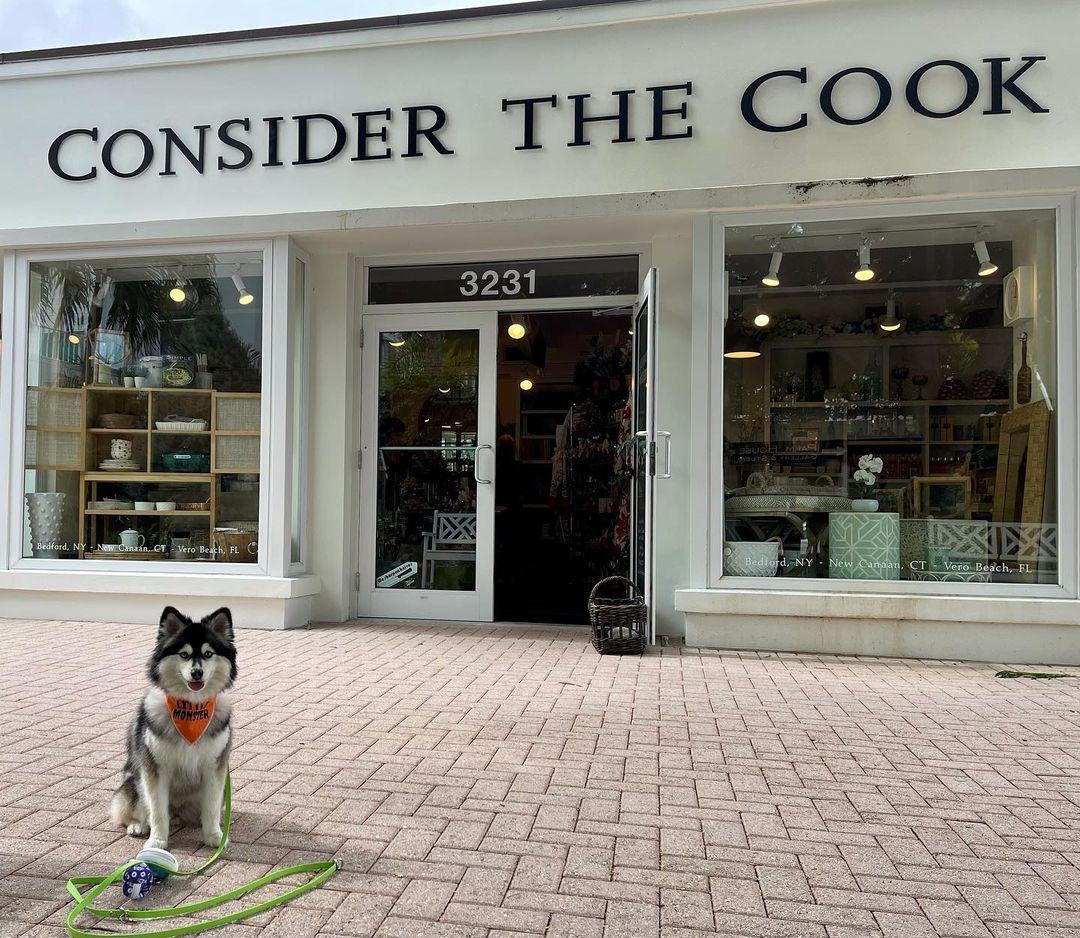 Pet Friendly Consider the Cook
