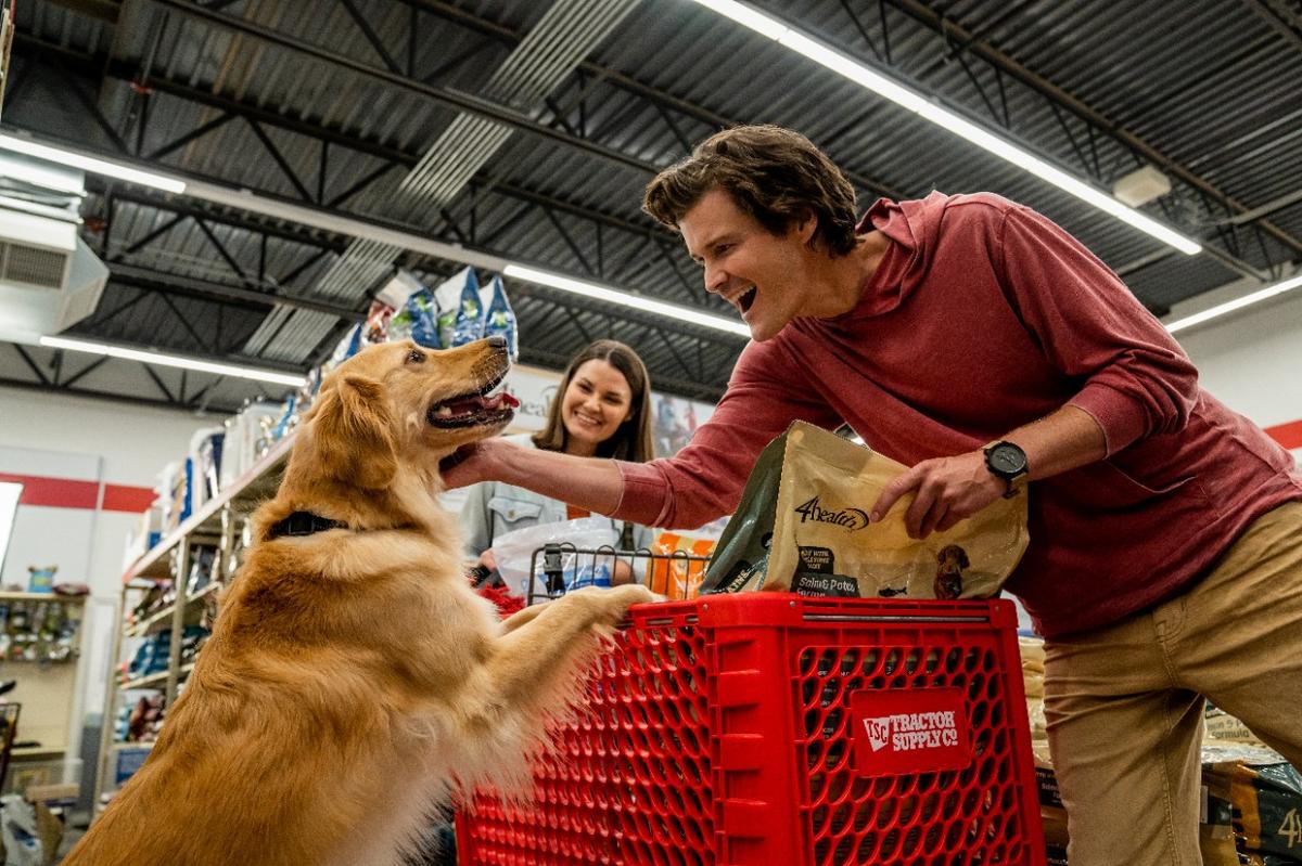 Tractor supply hot sale dog chains