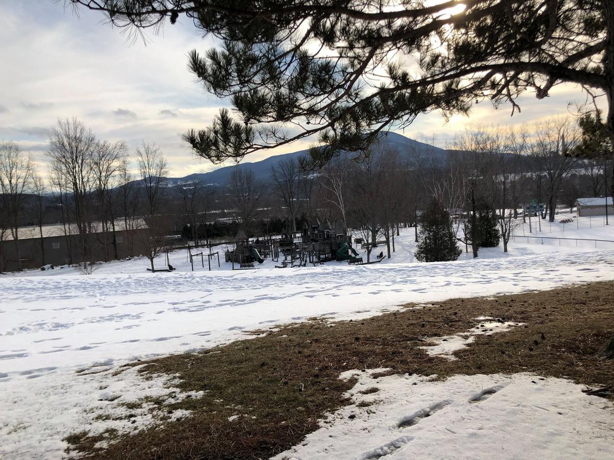 Bennington Dog Park at Willow Park