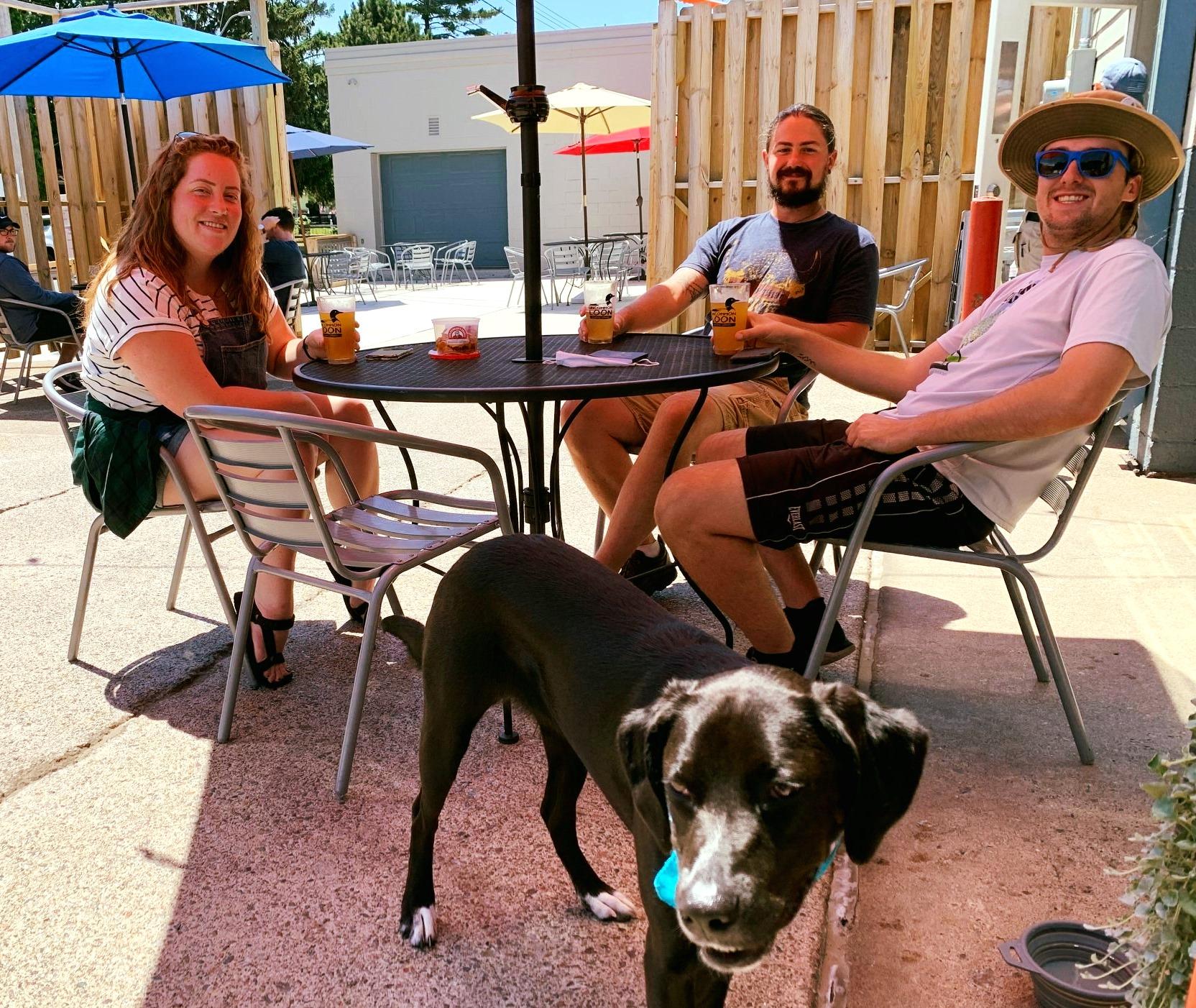 Pet Friendly Uncommon Loon Brewing Company