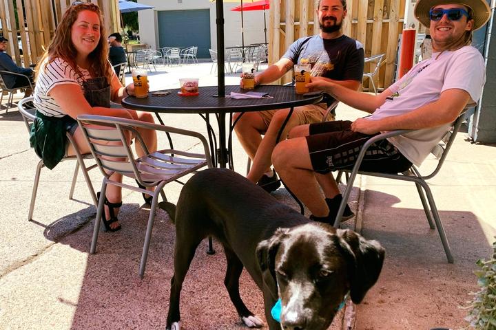 Pet Friendly Uncommon Loon Brewing Company